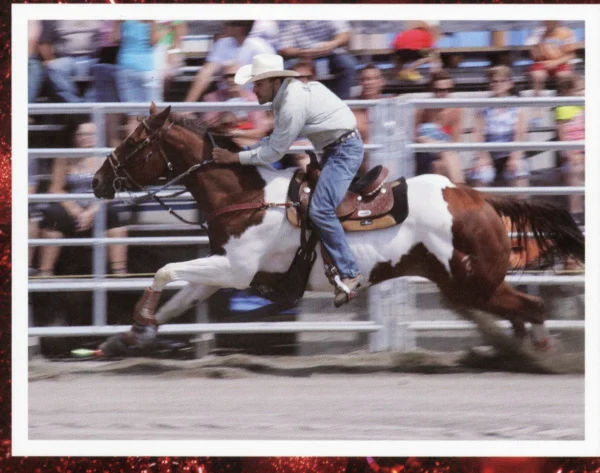 inconnu — 2004 — Festival country — Tags: Festival country — Festival country début années 2000