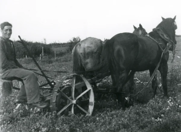 inconnu — agriculture — Tags: cheval, agriculture, machinerie