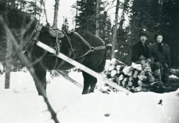 inconnu — cheval — Tags: bois, cheval