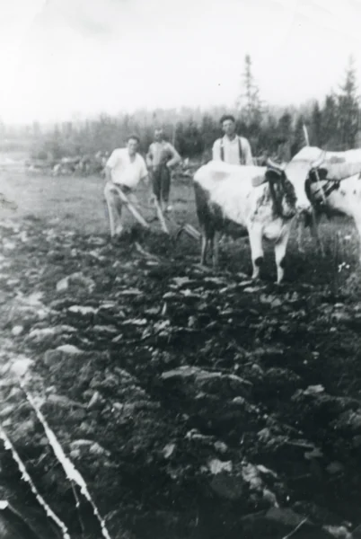 inconnu — agriculture — Tags: agriculture, machinerie