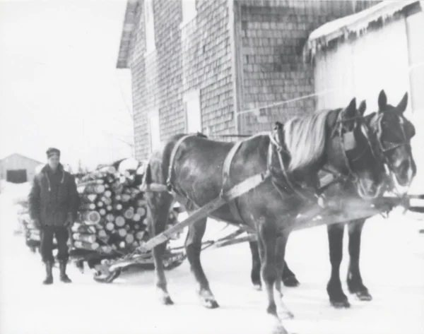 Patrimoine St-Léon — 1944 — foresterie — Tags: foresterie, cheval — Charles Dessureault arrive avec un voyage de bois de poêle, 1944