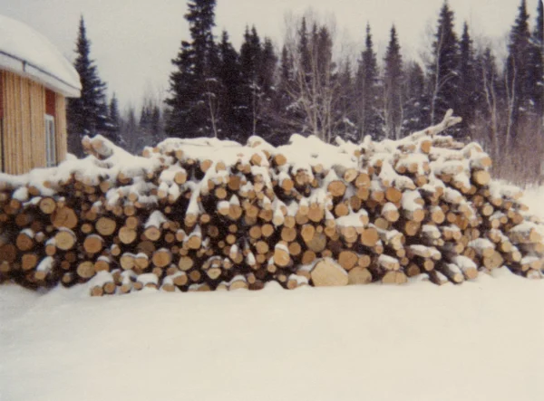 inconnu — 1978 — bois — Tags: bois — Bois coupé sur lot 9, Rang 5, Labrecque, par Rosaire, Richard et Jacques, fils de Philippe Simard, 22 décembre 1978