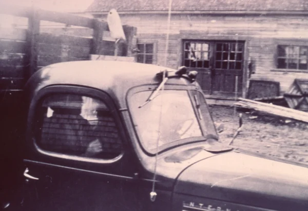 inconnu — magasin — Tags: maison, voiture, magasin — Boutique de forge