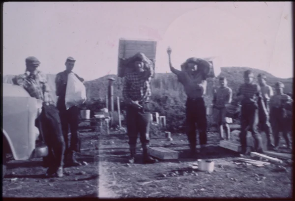 inconnu — bleuetière — Tags: bleuet