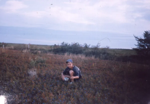 inconnu — bleuetière — Tags: bleuet