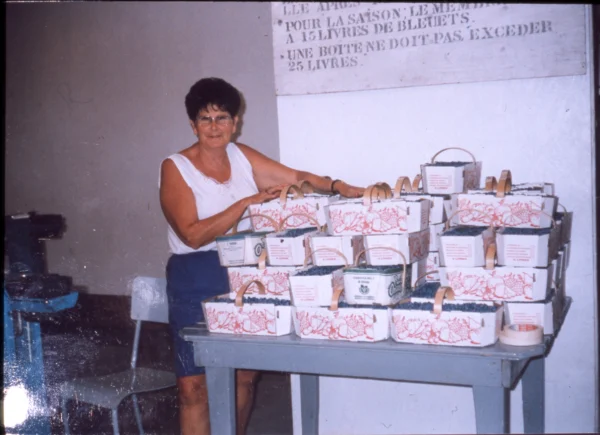 inconnu — bleutière — Tags: bleuet