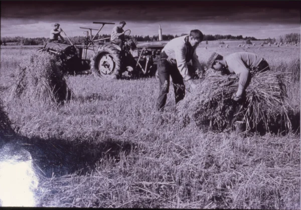 inconnu — agriculture — Tags: agriculture, machinerie