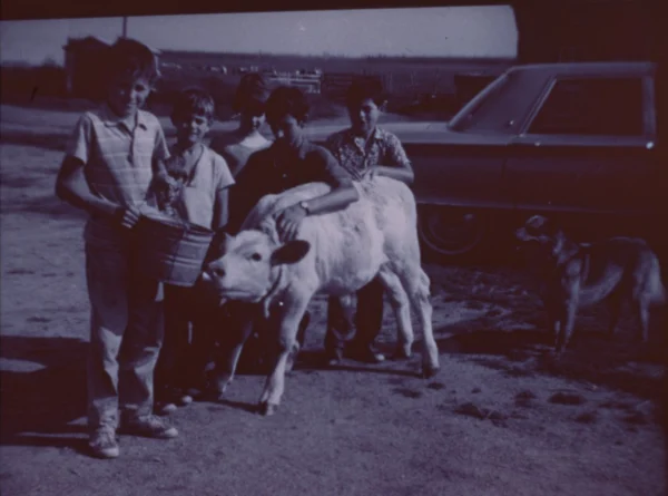 inconnu — animal — Tags: animal, famille