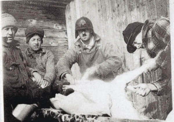 inconnu — boucherie — Tags: boucherie