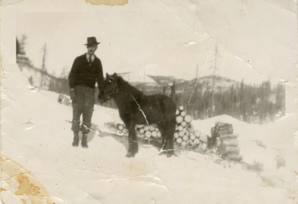 Lucie Boivin — Cheval — Tags: cheval