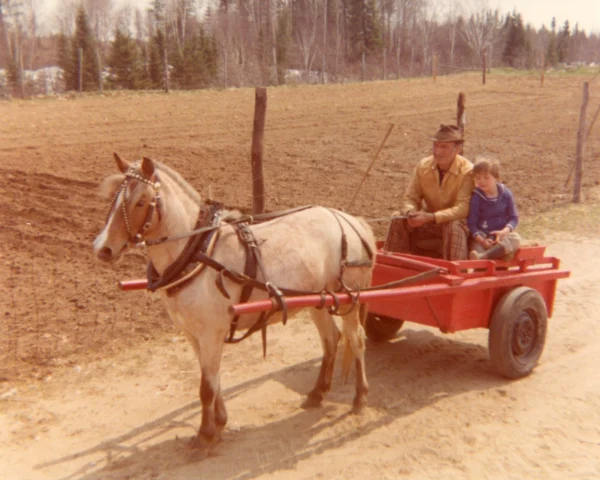inconnu — cheval — Tags: cheval, voiture