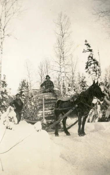 inconnu — bois — Tags: bois, cheval